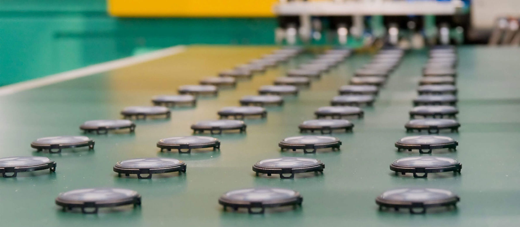 Welcome come to Tung Tyi